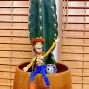 Woodyの画像