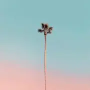 Kの画像