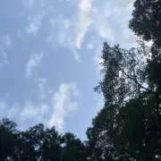 とくめいの画像