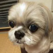 エムの画像