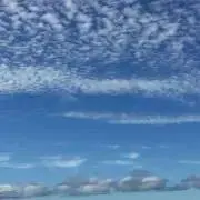 24   プロフご確認お願い致しますの画像