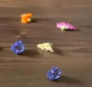 はっち