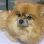 み✡の画像
