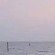 Nの画像