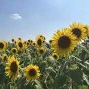 まるBOOKSの画像