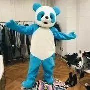 かいの画像