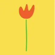 かいの画像