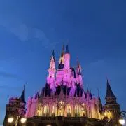 magickingdom☆プロフ確認の画像