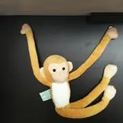 スイカよりメロン