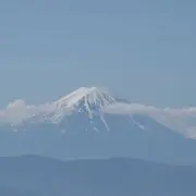南高梅の画像