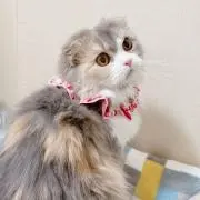 ユナ