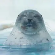 みずきの画像