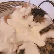 れんママ☺