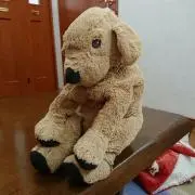 ぴよの画像