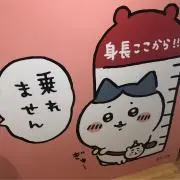 Kenzyの画像
