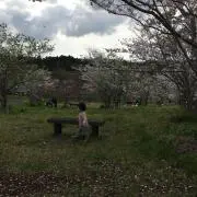 新宿の母