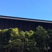 knks (クンクス)の画像