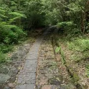 しろ