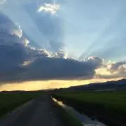 Alpsの画像