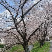 あげたこ