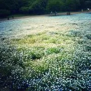 HISHU☆の画像