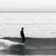 surfrider