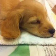 ナナ♡の画像