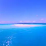 めぐの画像