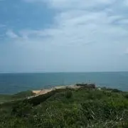 なおこ