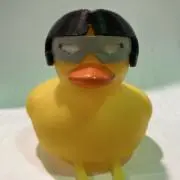 Rの画像