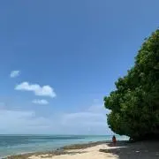 K-K