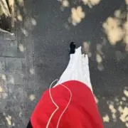 コニの画像