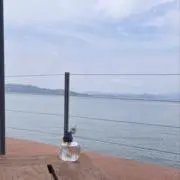 くろの画像