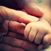 plumeの画像