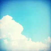 すみれの画像