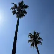 HYMKの画像