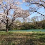meluの画像