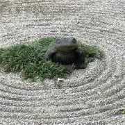 きっこりーの画像
