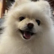 栗原 ジェフの画像