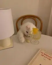 ぱん