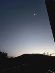 サリの画像