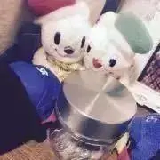 ゆく