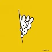 はるまきの画像