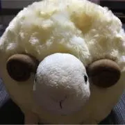 Nonの画像