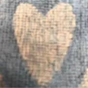 A1