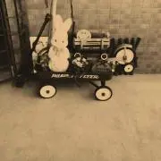 rokotan