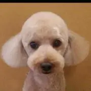 yuーーの画像
