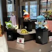 ここさんの画像