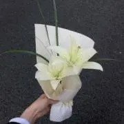 maedaの画像