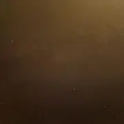 煮卵フィーバーの画像